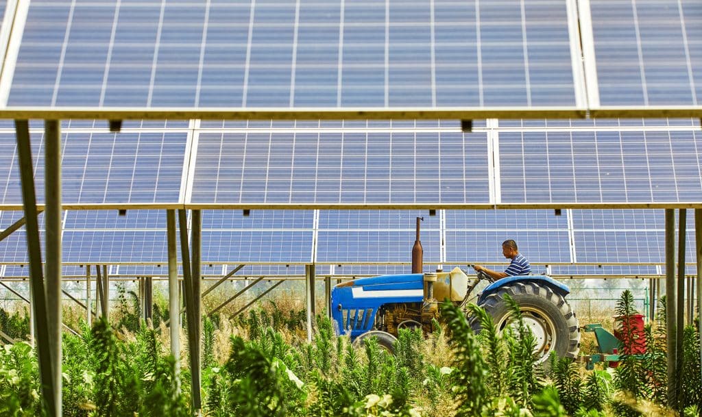 Exemple de d'installation photovoltaïque agricole
